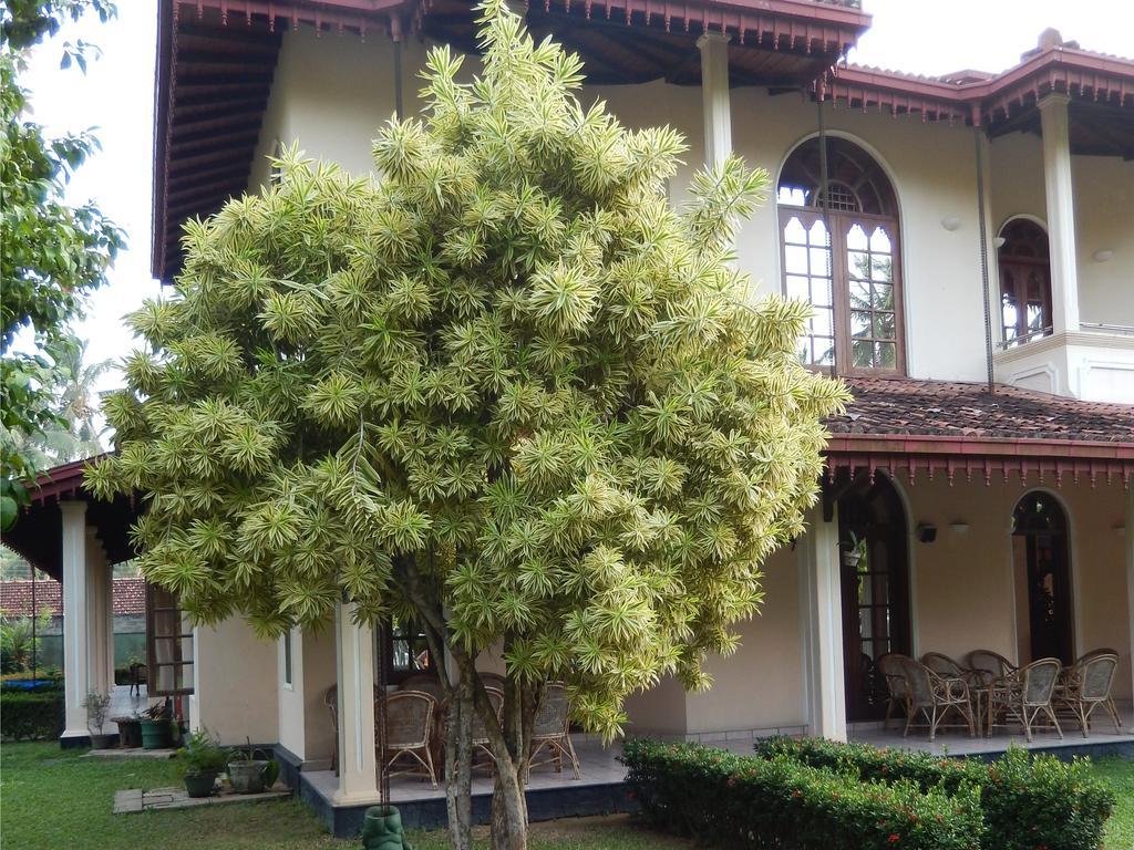 Villa Ranmenika Ahungalla Exterior foto